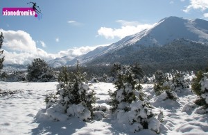 Zireia Ski Center / Χιονοδρομικό Κέντρο Ζήρειας