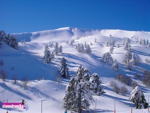 Χιονοδρομικό Κέντρο Βασιλίτσας, xionodromiko kentro vasilitsas
