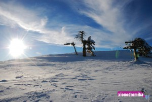 Χιονοδρομικό Κέντρο Βασιλίτσας, xionodromiko kentro vasilitsas