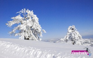 Χιονοδρομικά νέα