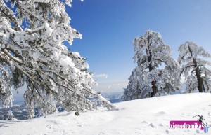 Vasilitsa ski center