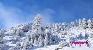 Vasilitsa ski center