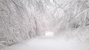 Χιονοδρομικό Ελατοχωρίου