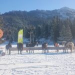 Χιονοδρομικό Κέντρο Περτουλίου