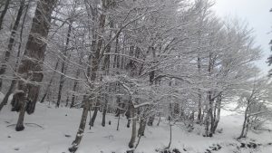 Χιονοδρομικό Κέντρο Βασιλίτας