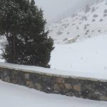 Χ.Κ. Μαινάλου