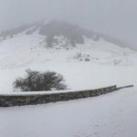 Χ.Κ. Μαινάλου