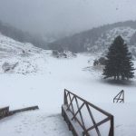 Χ.Κ. Μαινάλου