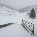 Χ.Κ. Μαινάλου