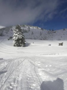 mainalo-19Jan2017-02