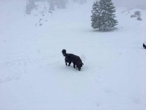 Χιονοδρομικό Κέντρο Μαιναλου