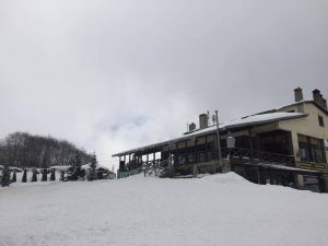 X/K Πισοδερίου