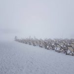 Χιονοδρομικό Κέντρο Παρνασσού