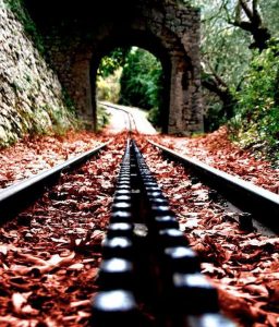 Φαράγγι του Βουραϊκού