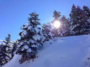 Εθνικός Δρυμός Παρνασσού - Χιονοδρομικό Κέντρο