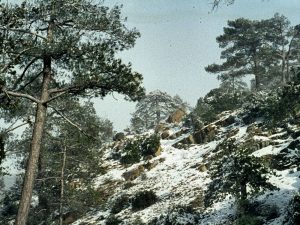Χιονοδρομικό Κέντρο Τρόοδου 1966-1970