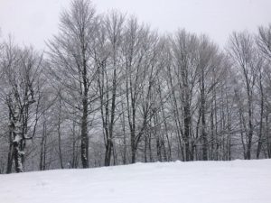 Χιονοδρομικό Κέντρο Βασιλίτσας - 17.12.2017