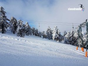 Χιονοδρομικό Κέντρο Βασιλίτσας